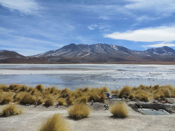 Scenic view of salar de uyuni against sky