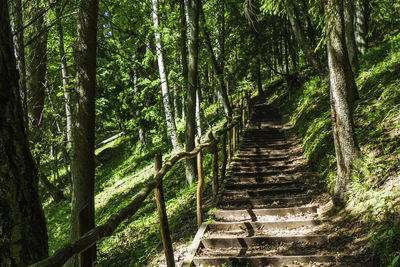 Wooden stairs going up on a hiking path through a green forest.