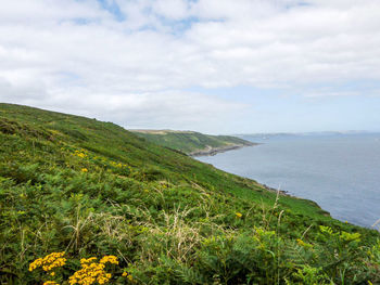 View of calm blue sea against lush foliage