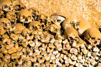 Close-up of human skulls on ground
