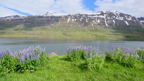 Scenic view of lake against cloudy sky