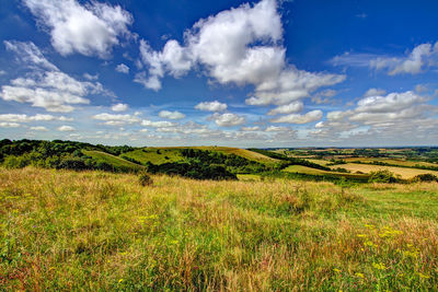 Scenic view of grassy field against cloudy sky