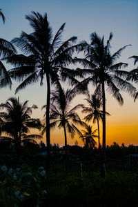 Silhouette palm trees on field against sky at sunset