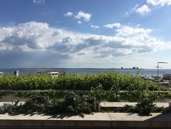 Plants growing by sea against sky