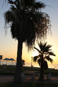Silhouette palm trees at beach against sky during sunset
