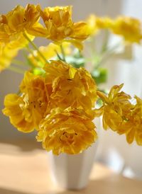 Close-up of yellow flowering plant