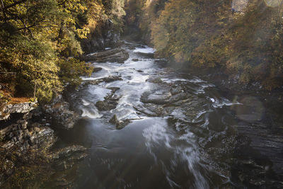 Stream flowing through rocks in forest