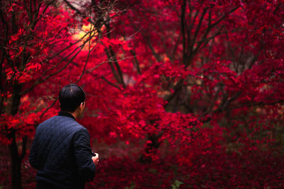 Woman sitting on tree trunk