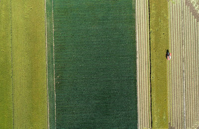 Full frame shot of wall