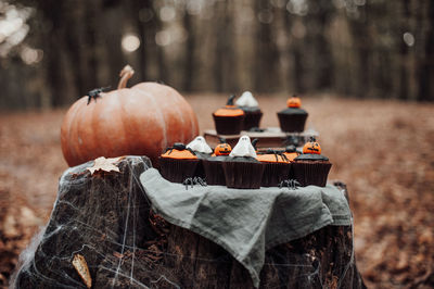 Close-up of pumpkins on field
