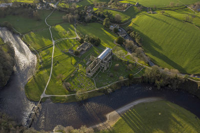 High angle view of agricultural field