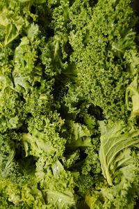 Full frame shot of vegetables