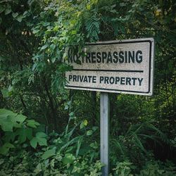 Close-up of information sign against plants