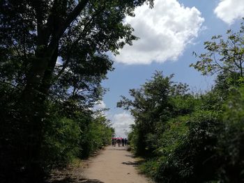 Road amidst trees and plants against sky