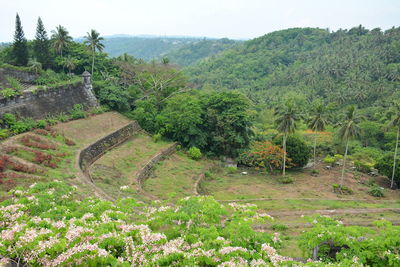 High angle view of trees on landscape against sky