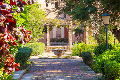 Potted plants in garden