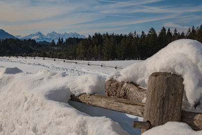 Scenic view of snow covered trees against sky