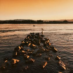 Pelican perching on rocks in sea against clear sky during sunset