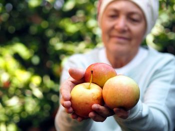 An elderly woman in a rustic shawl in the background of the garden lovingly demonstrates apples 