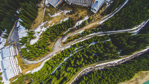 High angle view of winding road amidst trees