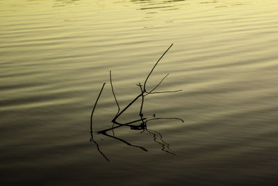Scenic view of lake during sunset