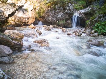 Scenic view of waterfall in forest