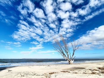 Scenic view of beach against blue sky