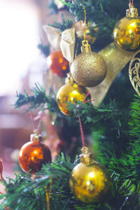 Close-up of christmas decorations hanging on tree