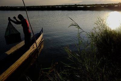 Scenic view of lake