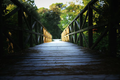 Surface level of footbridge along trees in forest