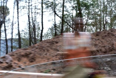 Blurred motion of trees against sky