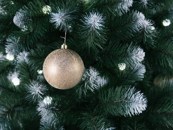 Close-up of christmas tree against sky