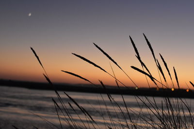 Close-up of sea against sky during sunset