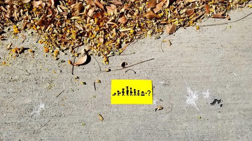 High angle view of yellow sign on street