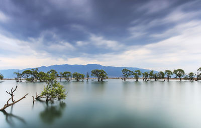 Calm lake with trees against clouds