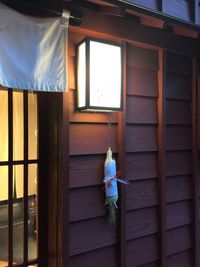 Rear view of man standing by window of building