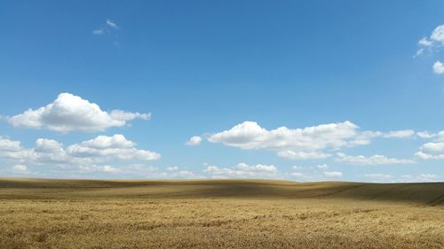 Scenic view of field against cloudy sky