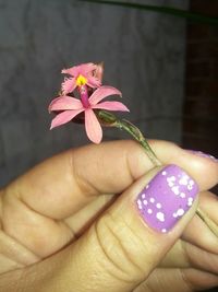 Close-up of hand holding flower