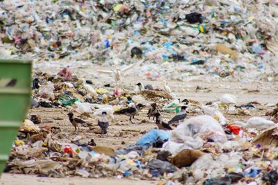 Garbage on beach