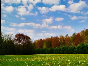 Scenic view of field against cloudy sky