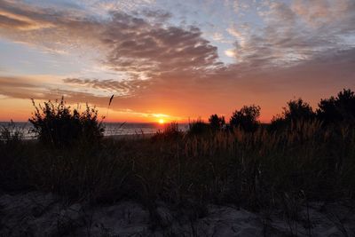 Scenic view of sunset over sea