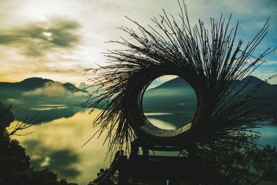 Low angle view of silhouette tree against sky at sunset