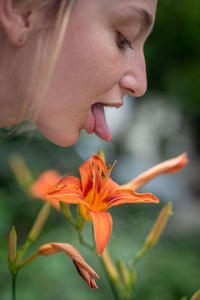 Close-up of orange flower against blurred background