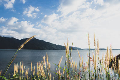 Scenic view of lake against sky