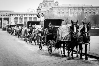 Horse carts parked on street
