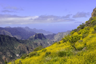 landscape