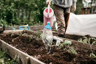 Rear view of man watering plants