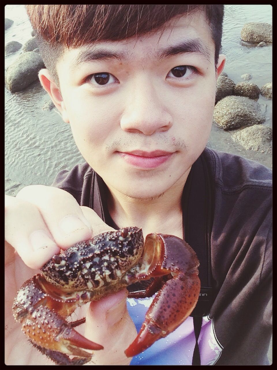 Crab