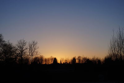 Silhouette of trees at sunset