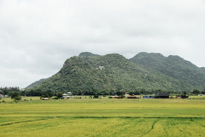 Scenic view of farm against sky